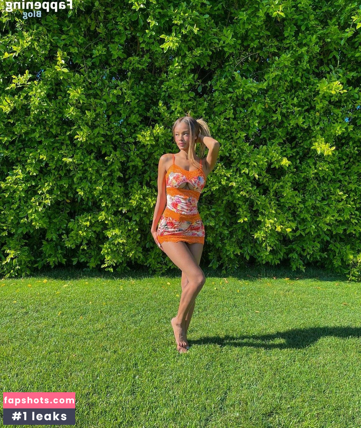 Vinetria gallery photo #25