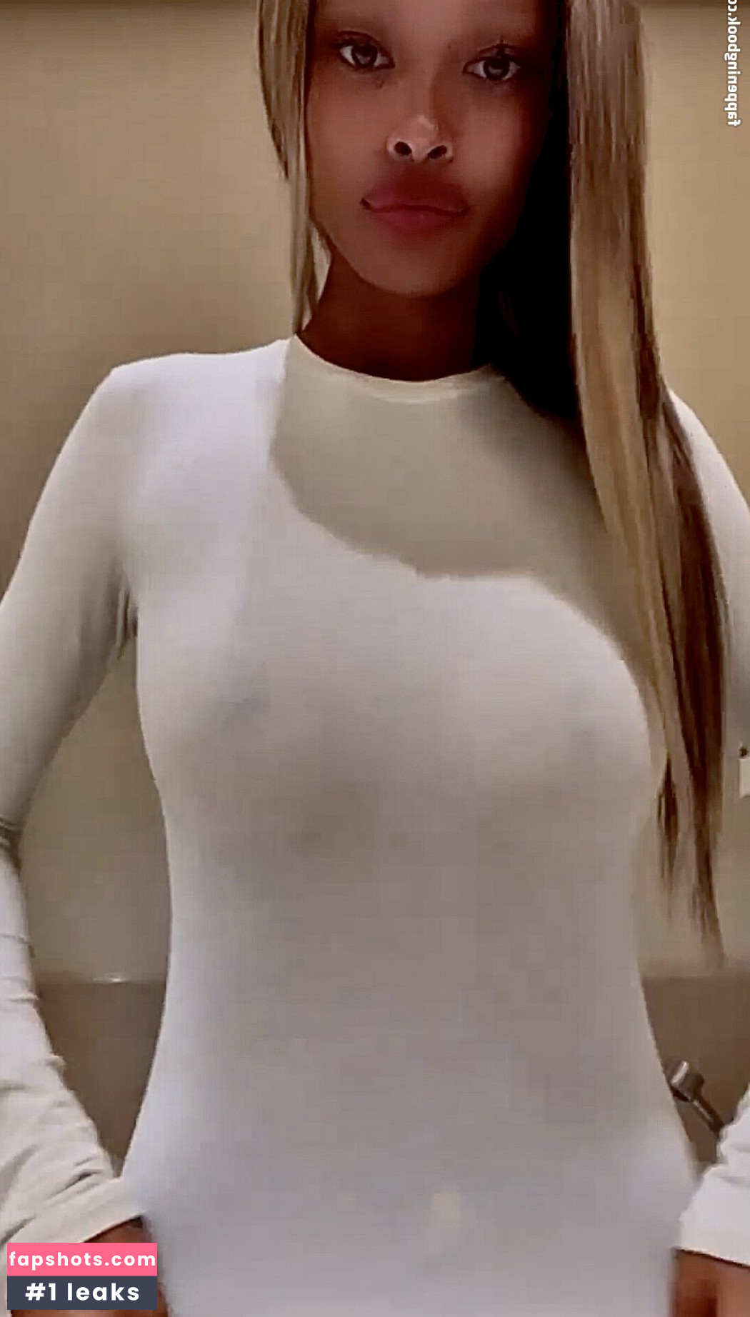 Vinetrria Vinetria gallery photo #4