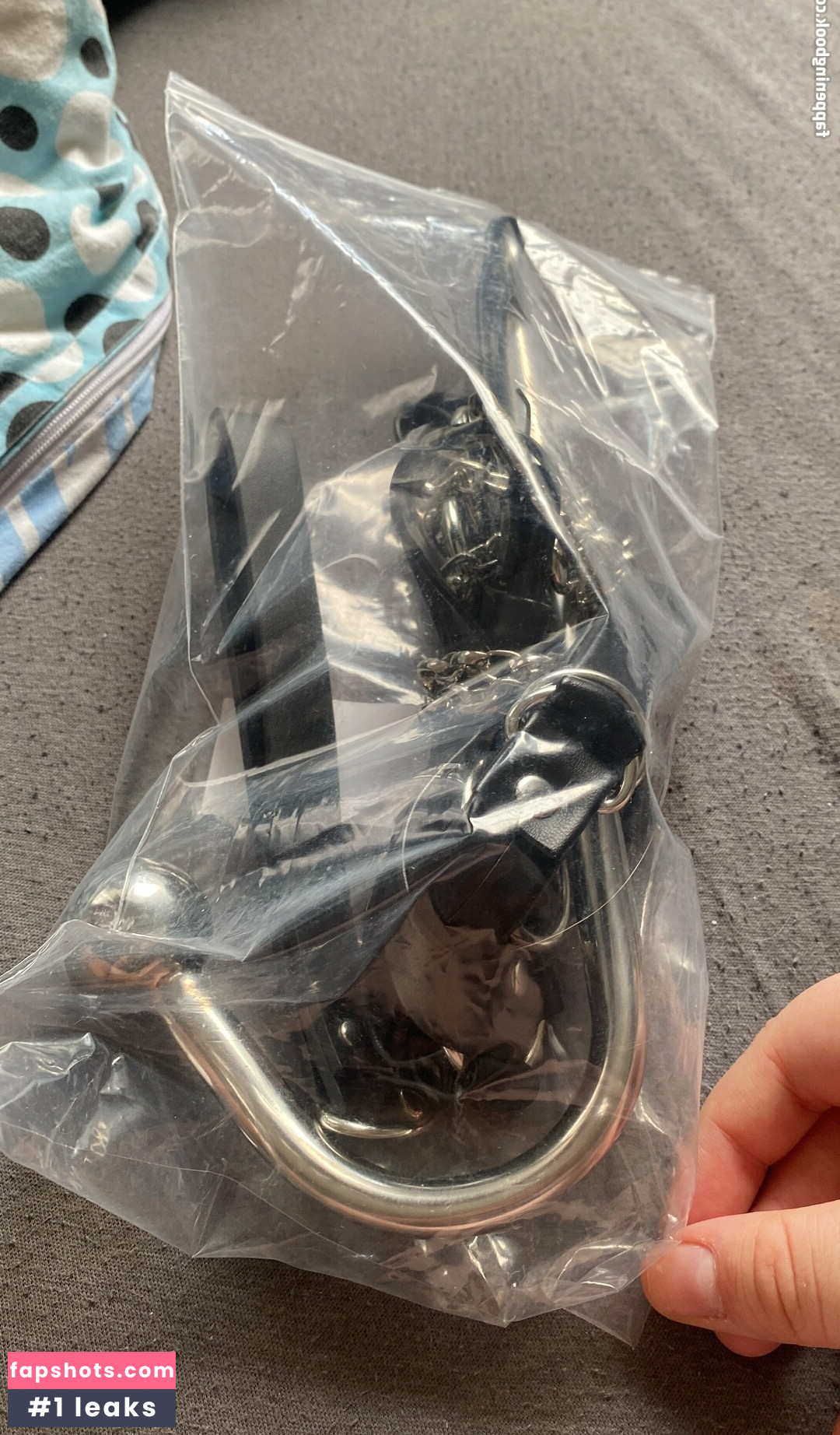 vinny_bun gallery photo #15