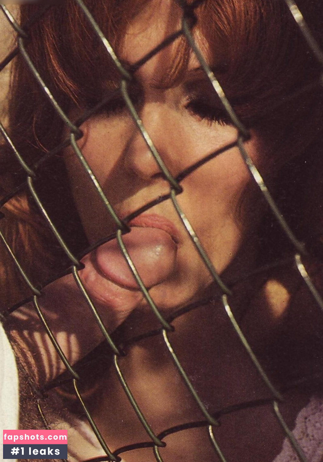 Vintage Erwachsenen Zeitschriften gallery photo #335