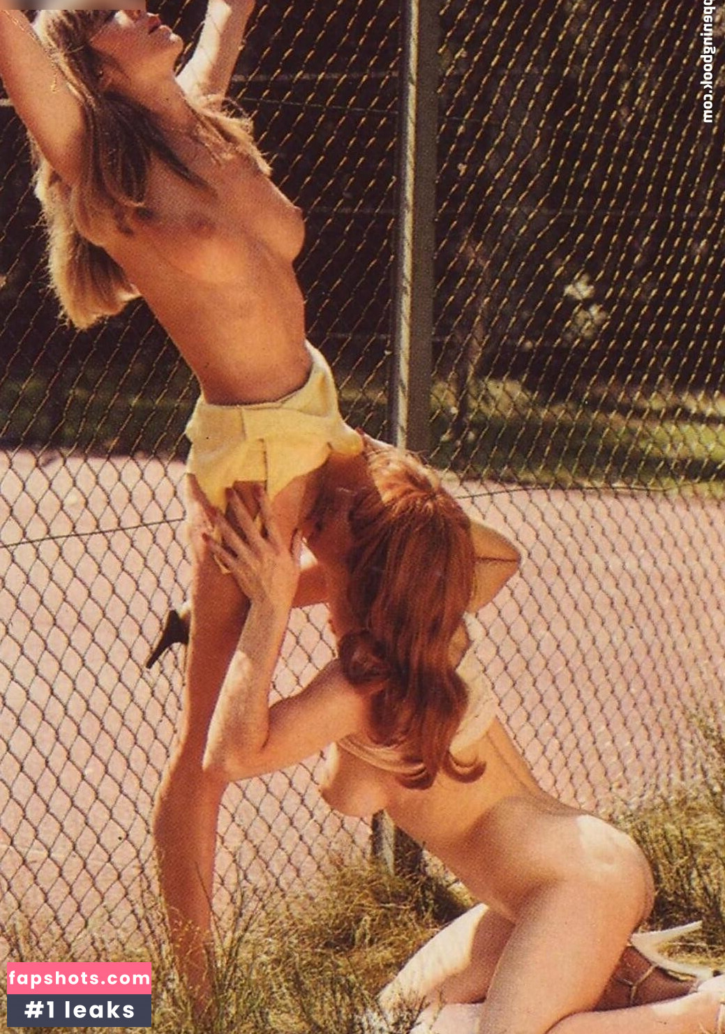 Vintage Erwachsenen Zeitschriften gallery photo #337