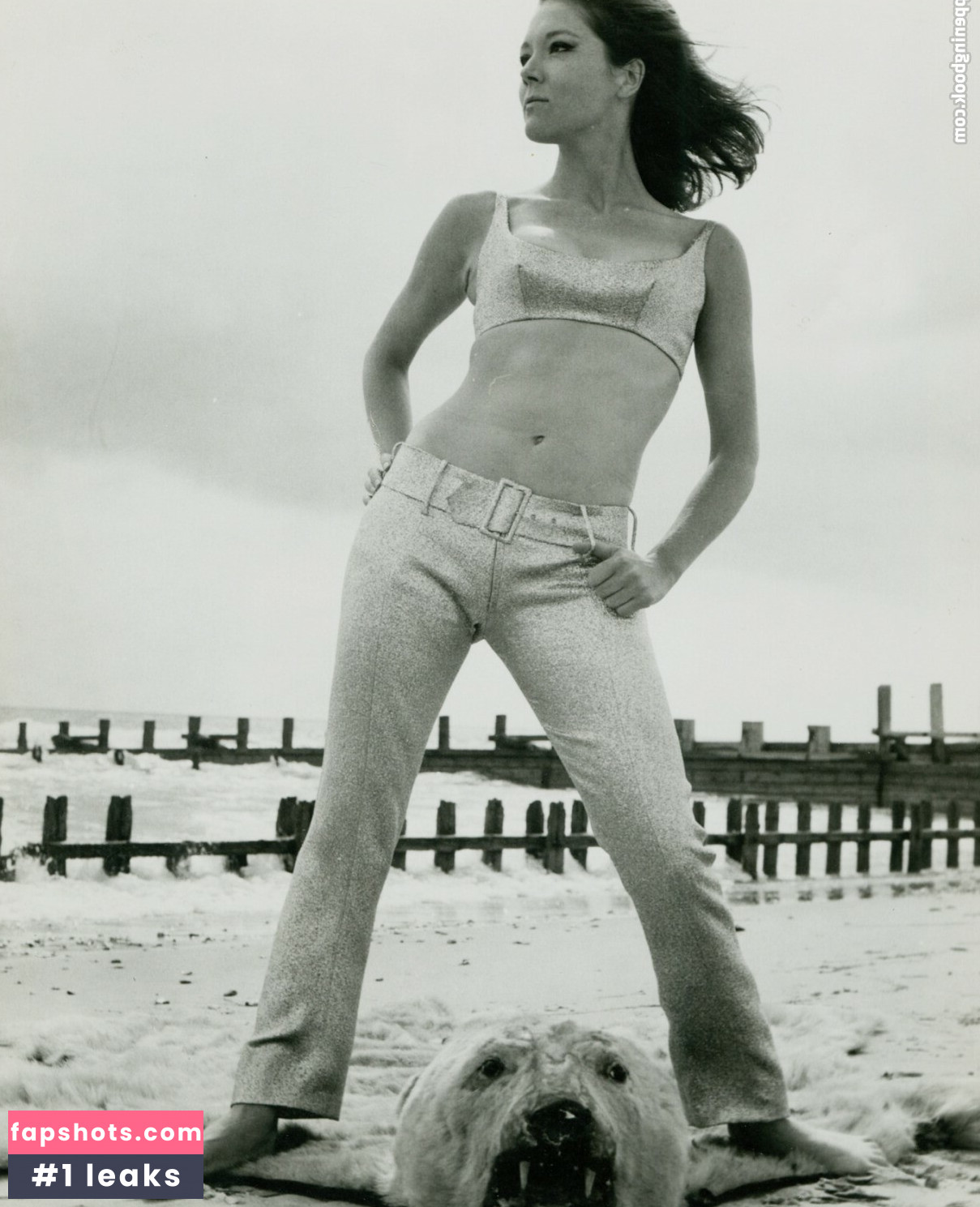 Vintage Sexy Celebs Filtración Desnuda OnlyFans Foto #164 - Fapshots