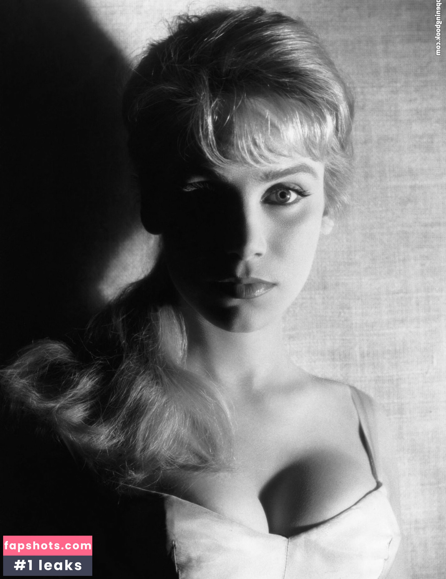 Vintage Starlets Nacktheit OnlyFans Fotos #162 - Fapshots