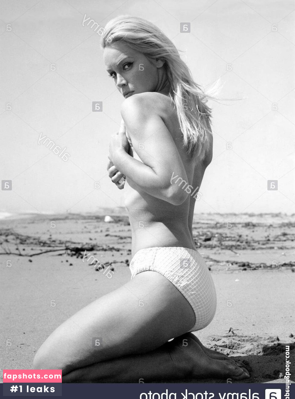 Vintage Starlets Nacktheit OnlyFans Fotos #167 - Fapshots