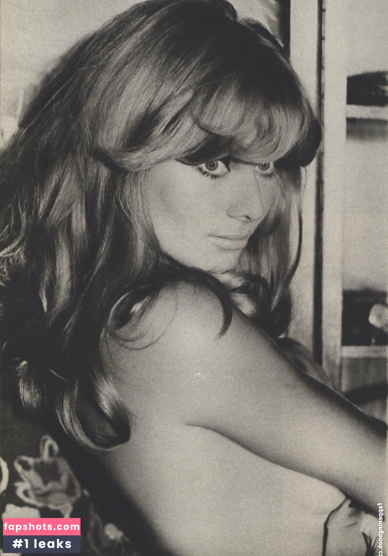 Vintage Starlets Nacktheit OnlyFans Fotos #207 - Fapshots