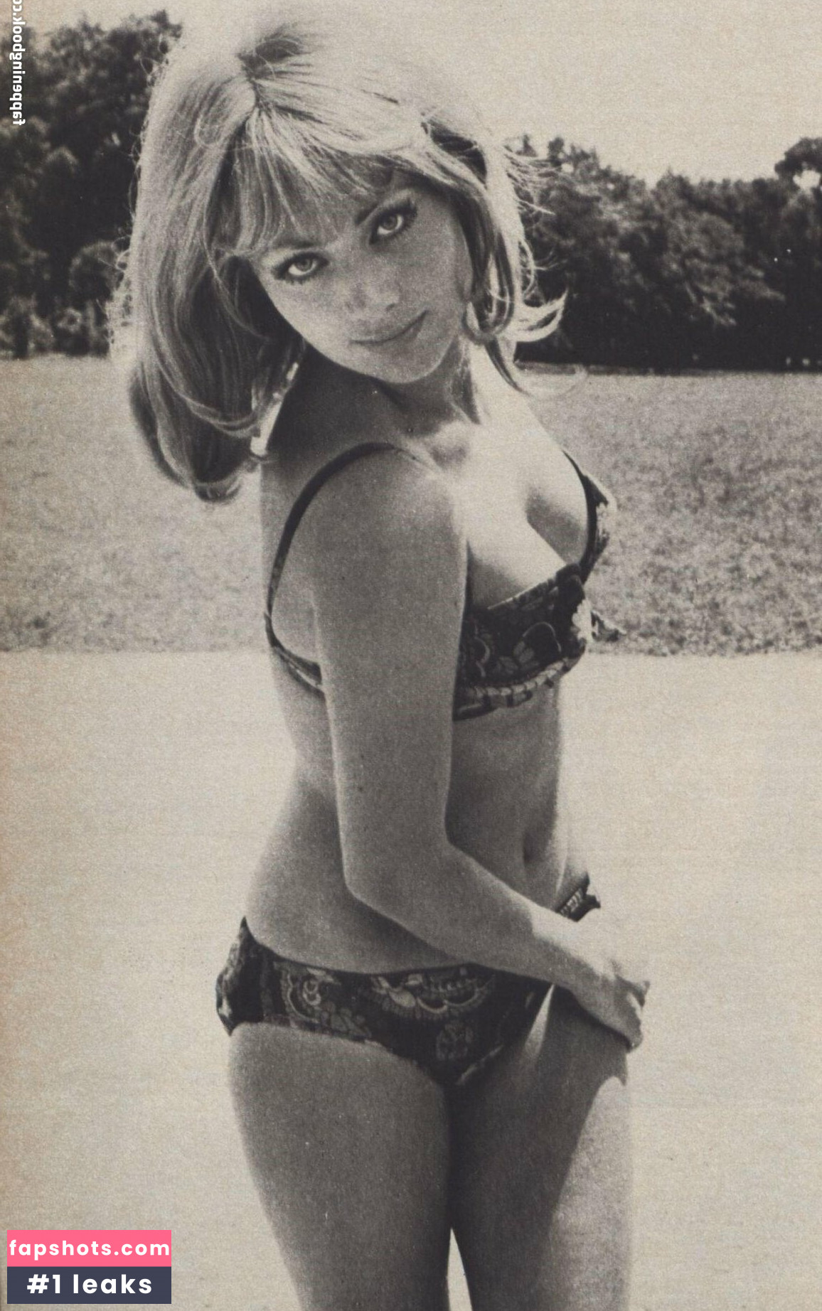 Vintage Starlets Nacktheit OnlyFans Fotos #212 - Fapshots