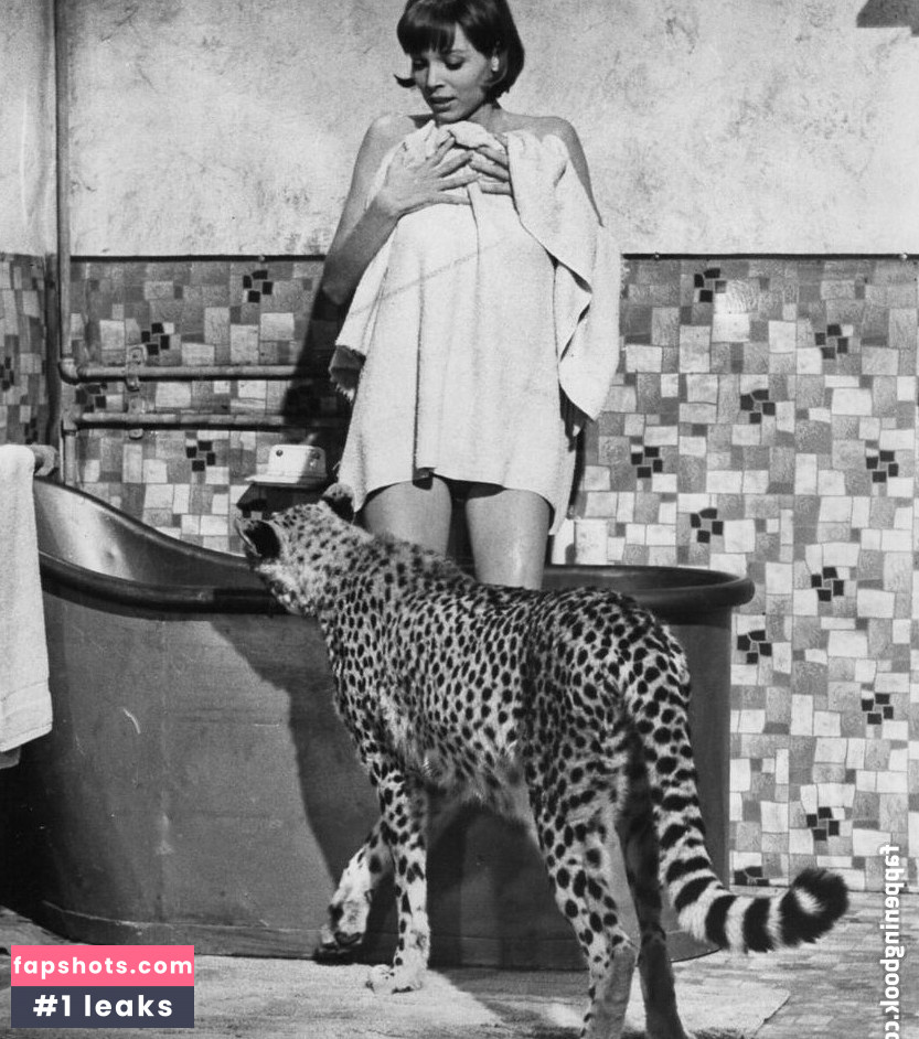 Vintage Starlets Nacktheit OnlyFans Fotos #31 - Fapshots