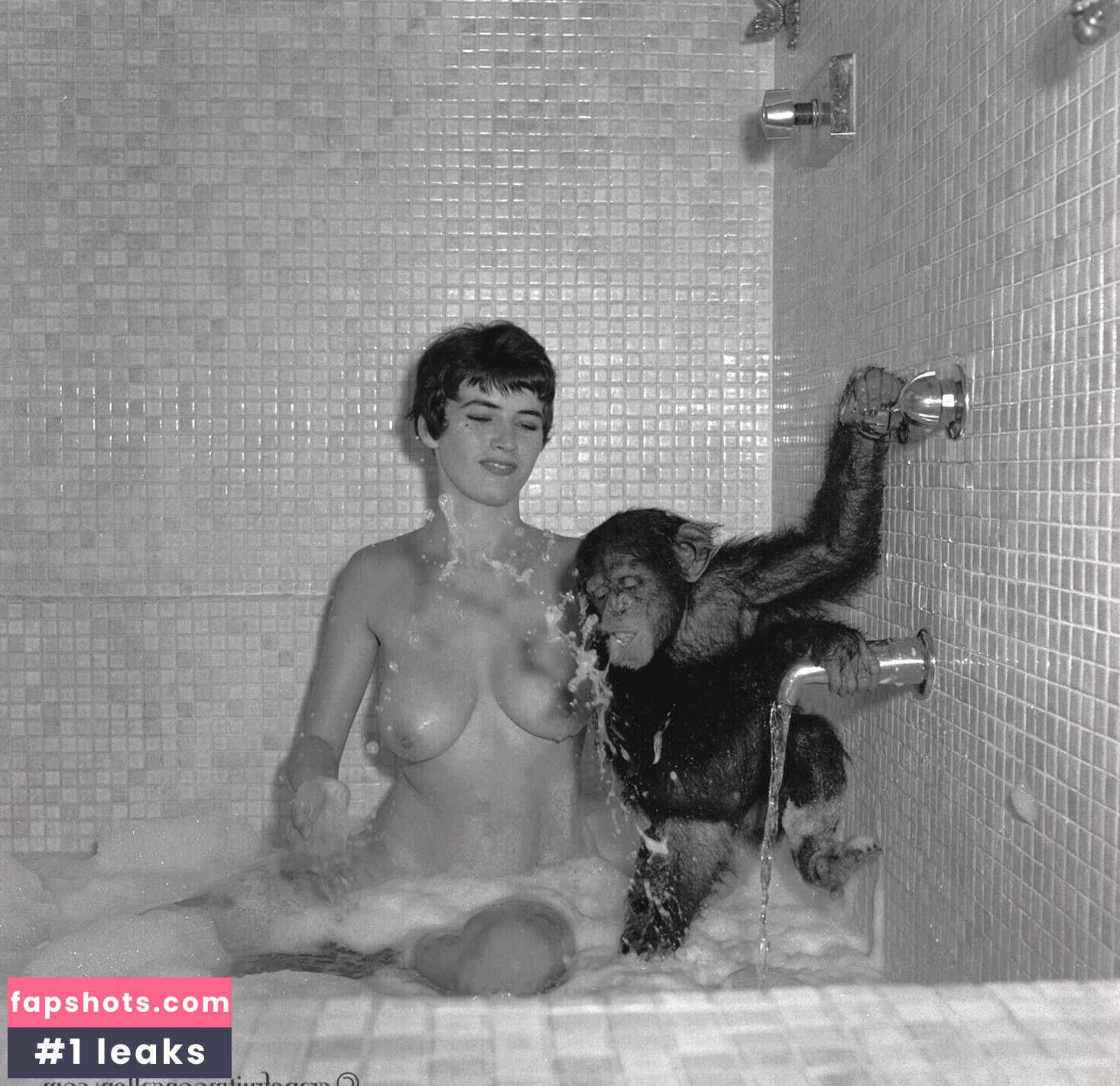 Vintage Starlets Nacktheit OnlyFans Fotos #419 - Fapshots