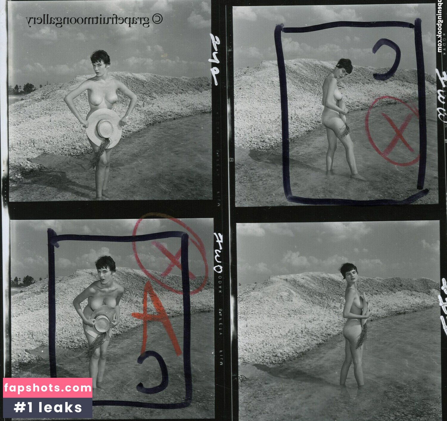 Vintage Starlets Nacktheit OnlyFans Fotos #427 - Fapshots