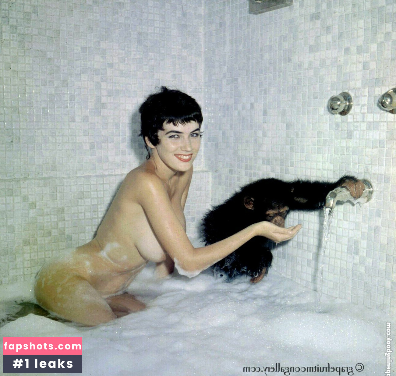 Vintage Starlets Nacktheit OnlyFans Fotos #429 - Fapshots