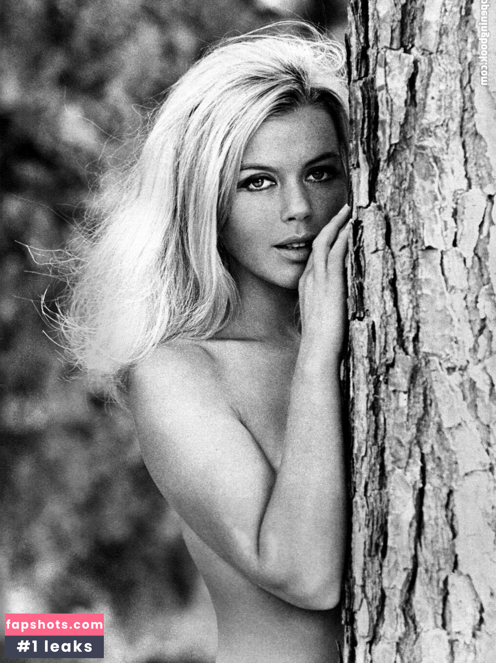 Vintage Starlets Nacktheit OnlyFans Fotos #86 - Fapshots