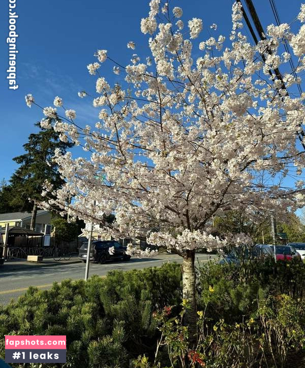 Violetplustommy gallery photo #8