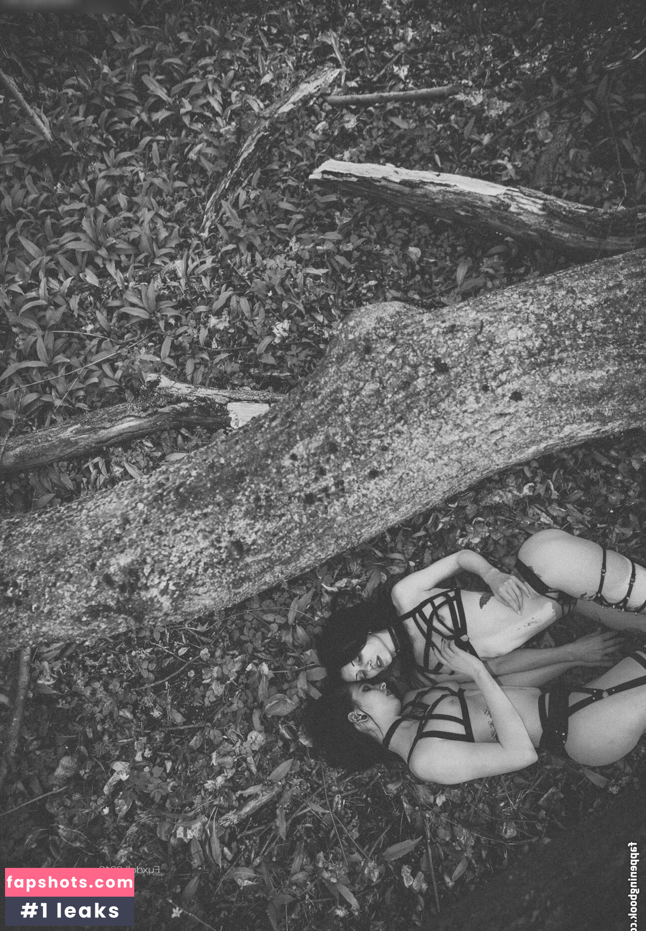 VipersDoll gallery photo #3