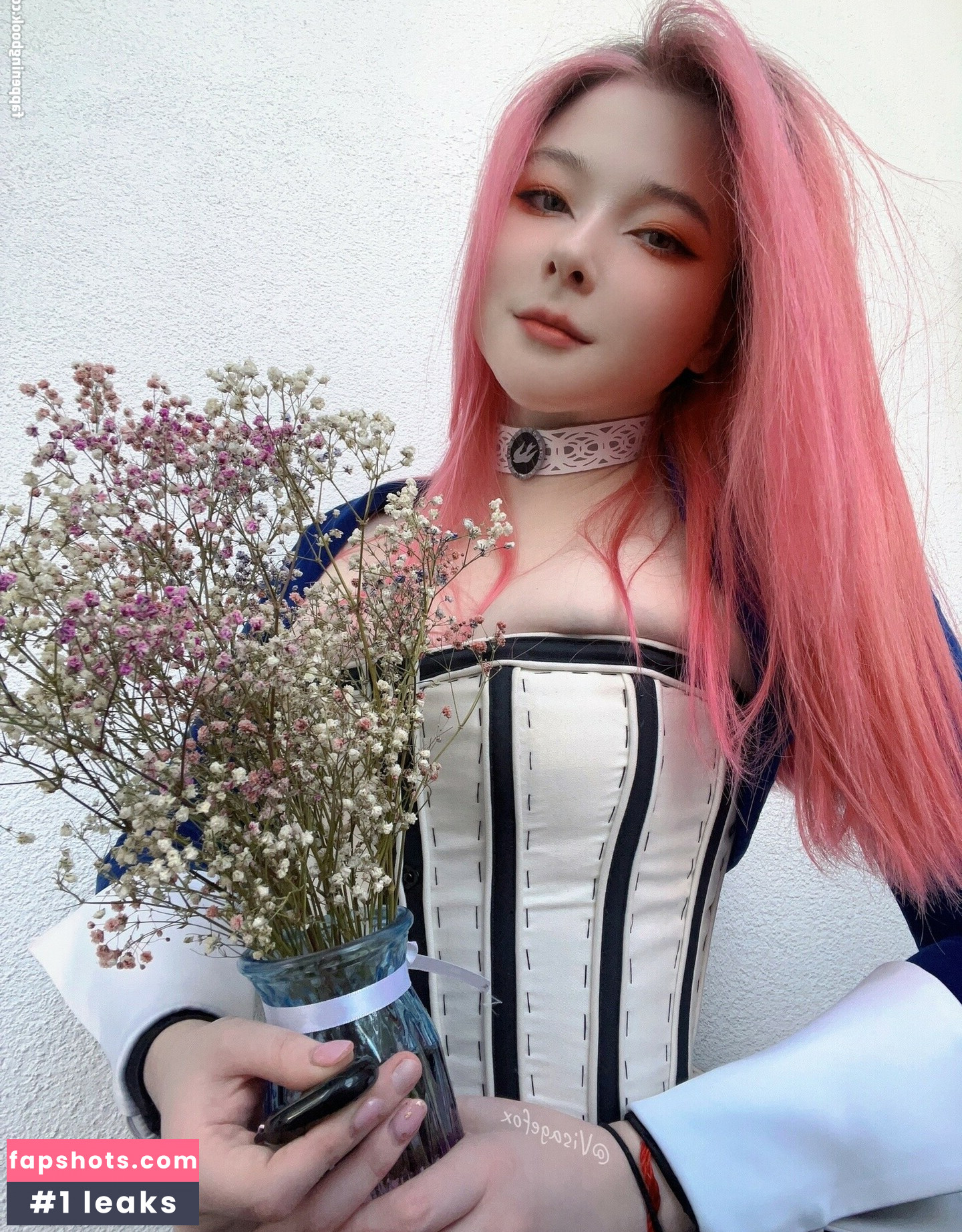 visagefox gallery photo #115