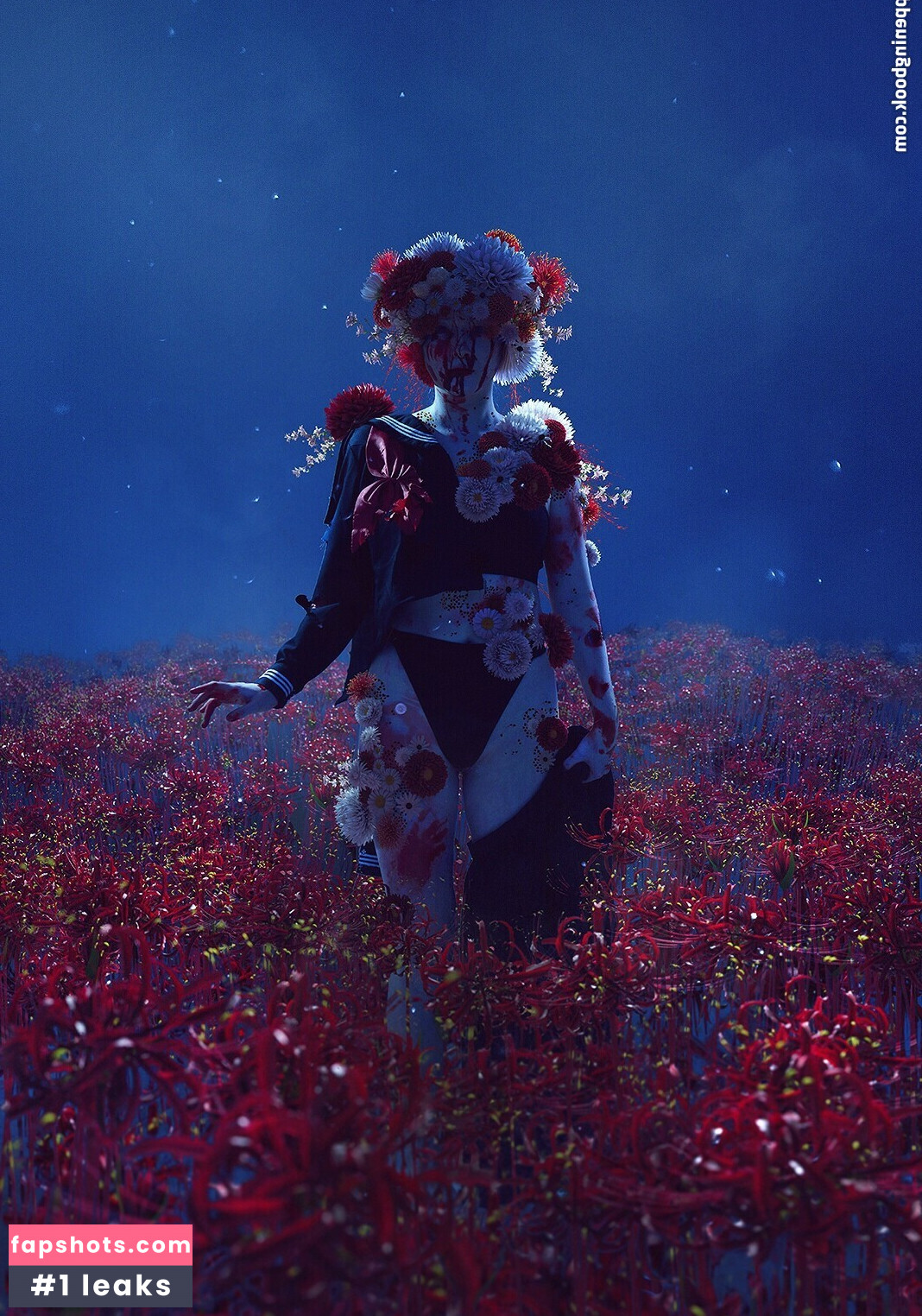 visagefox gallery photo #218