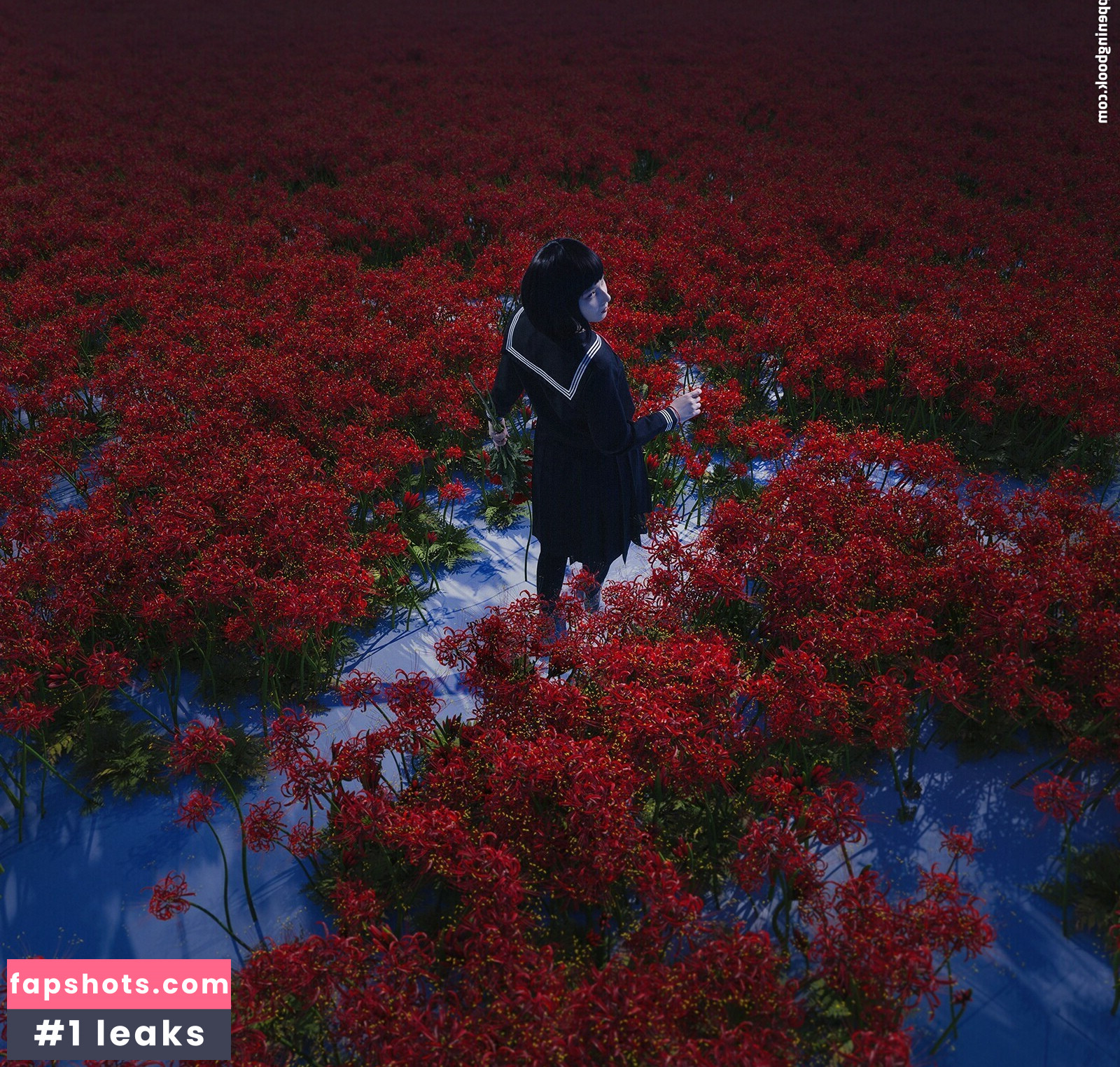 visagefox gallery photo #219