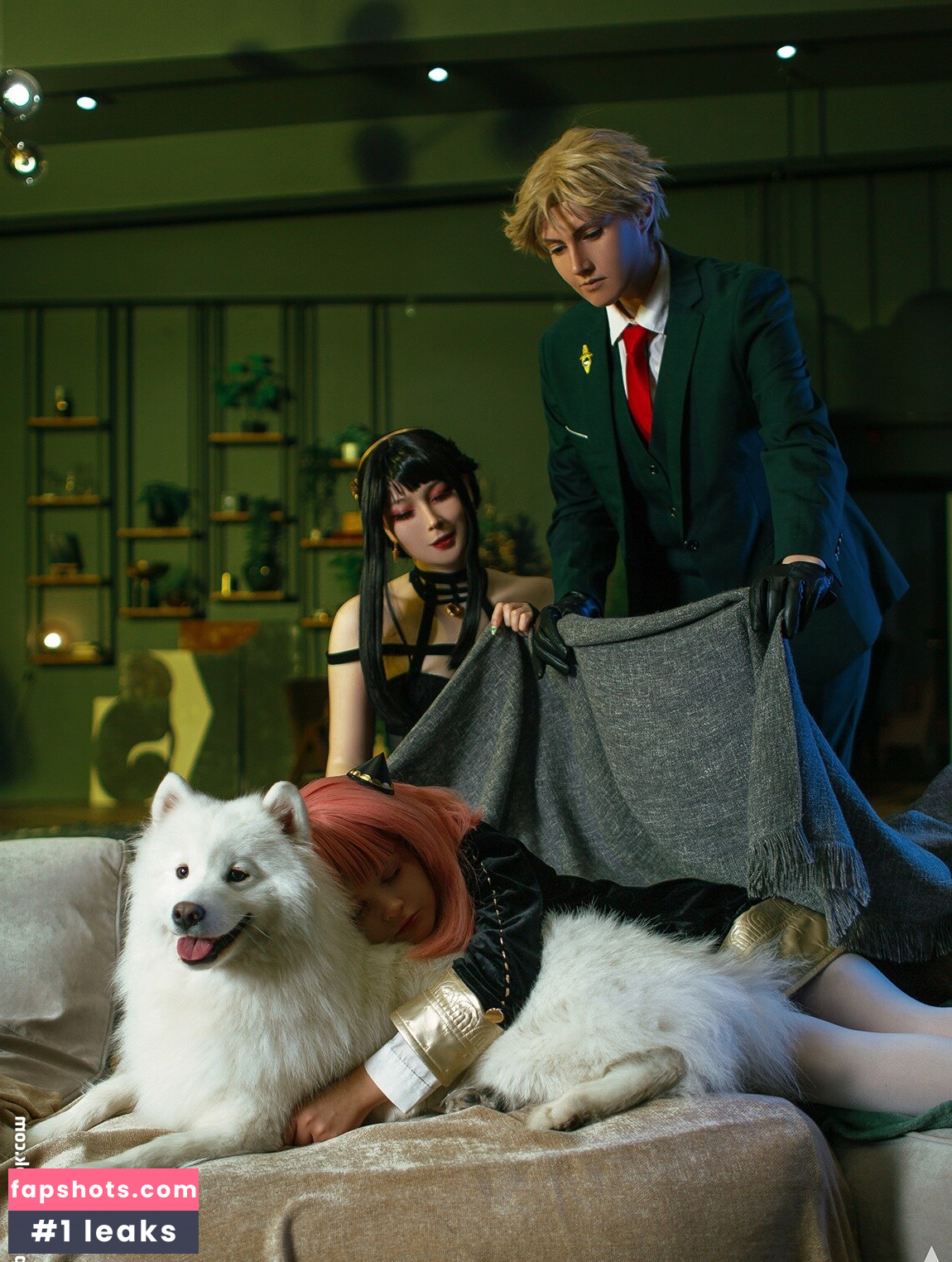 visagefox gallery photo #232