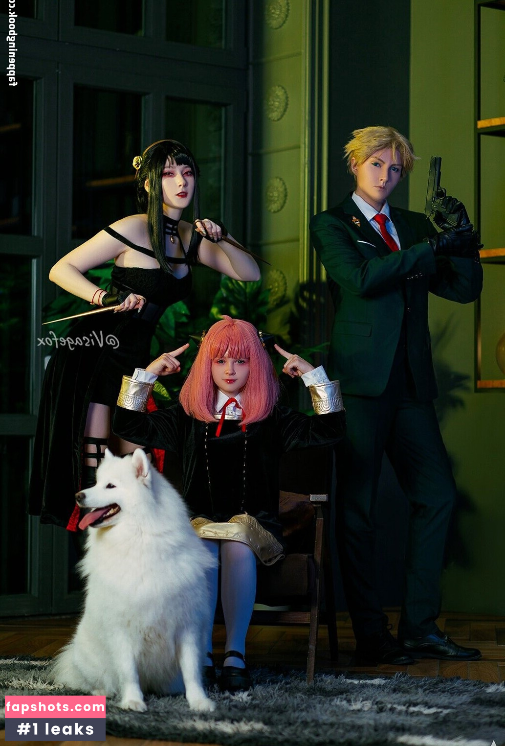 visagefox gallery photo #236