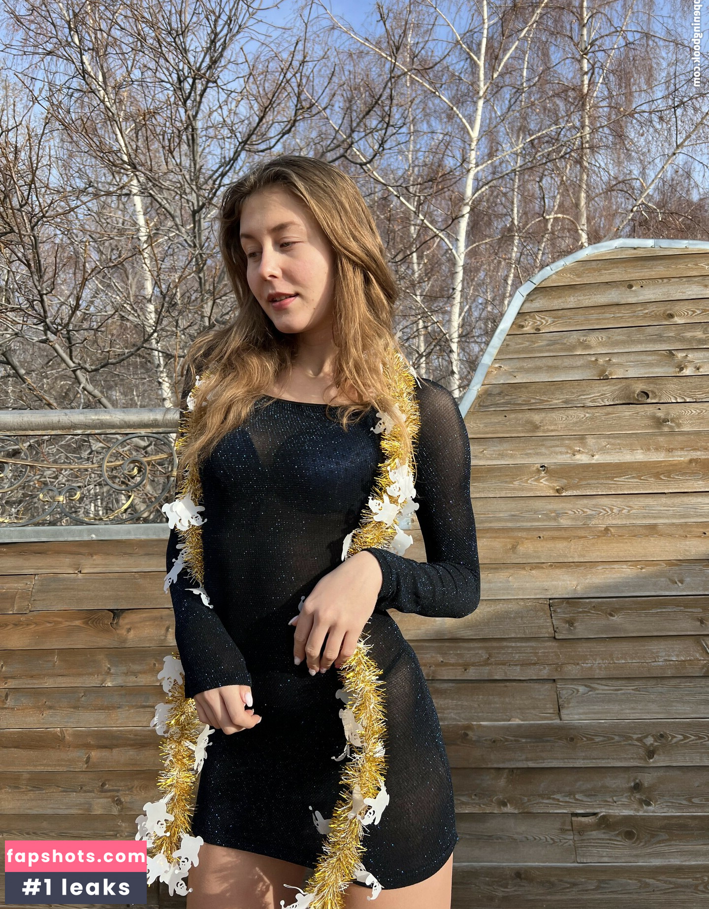 _vitaniemi01 gallery photo #5