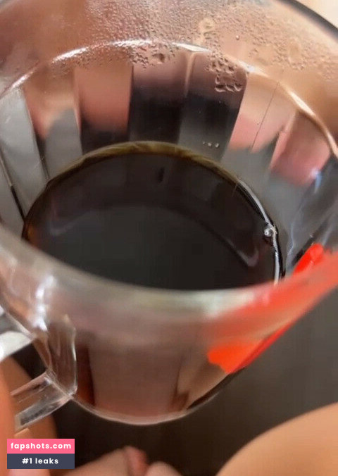 Vivi Fernandez gallery photo #983