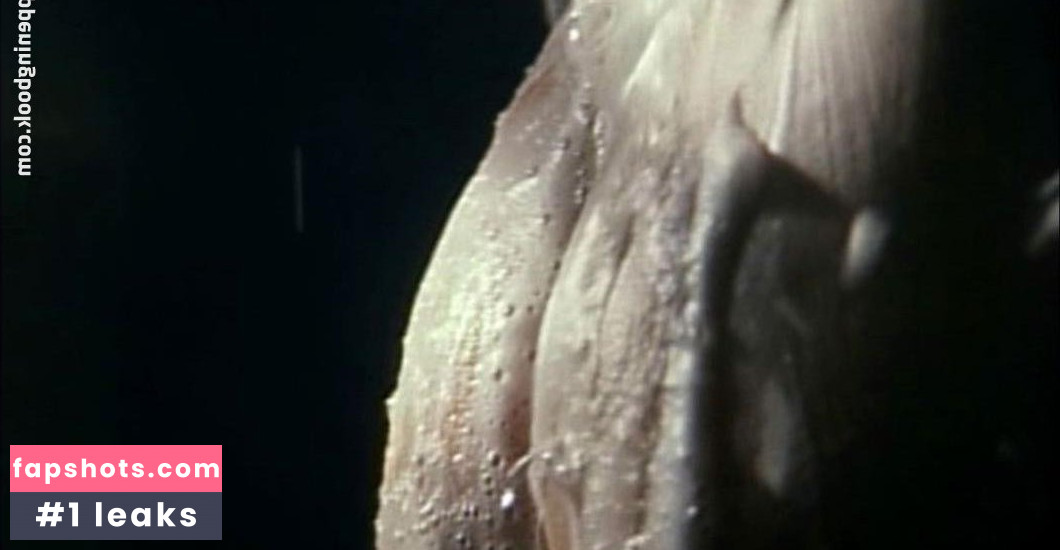 Vivian Hsu gallery photo #17