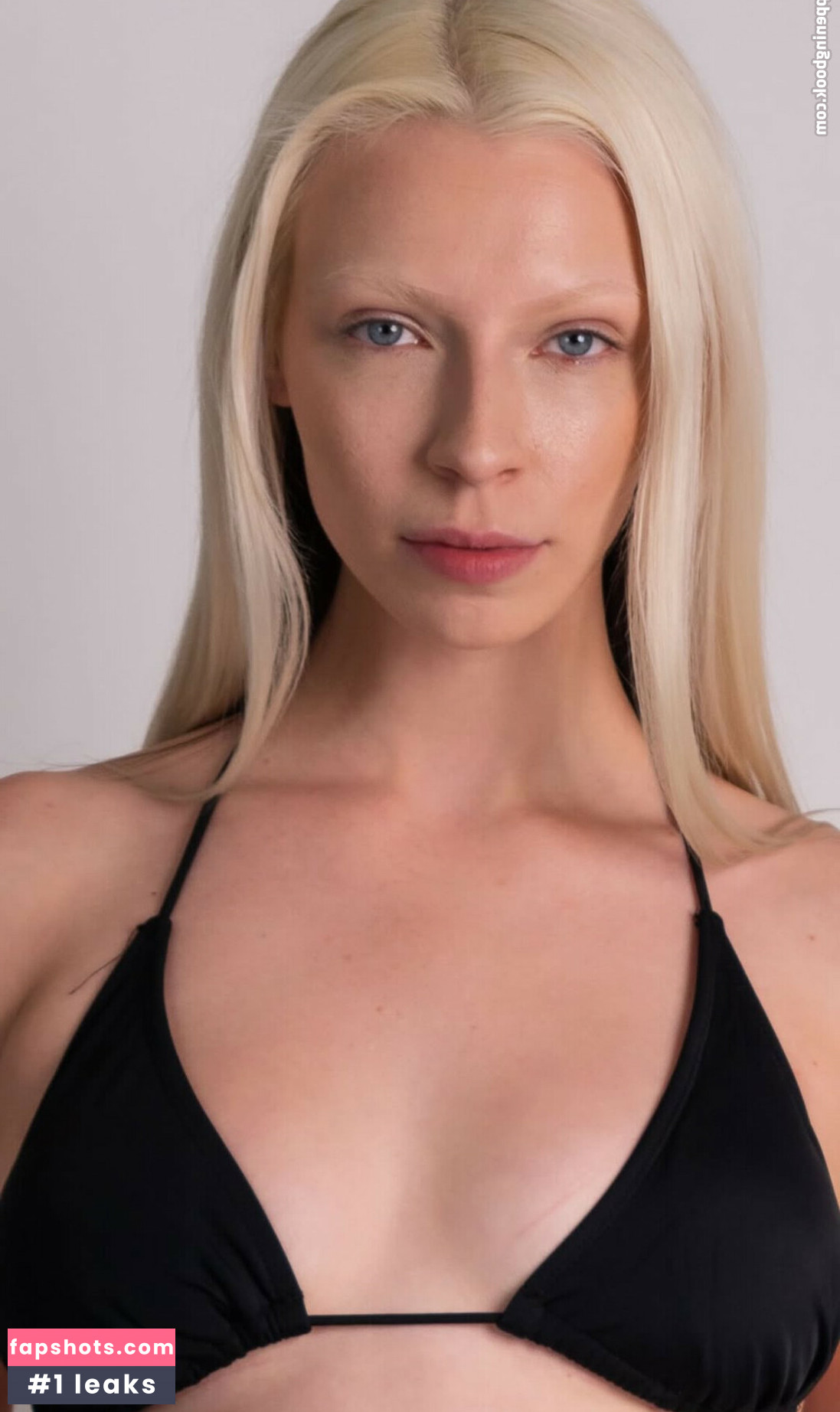 vivisvvs gallery photo #3