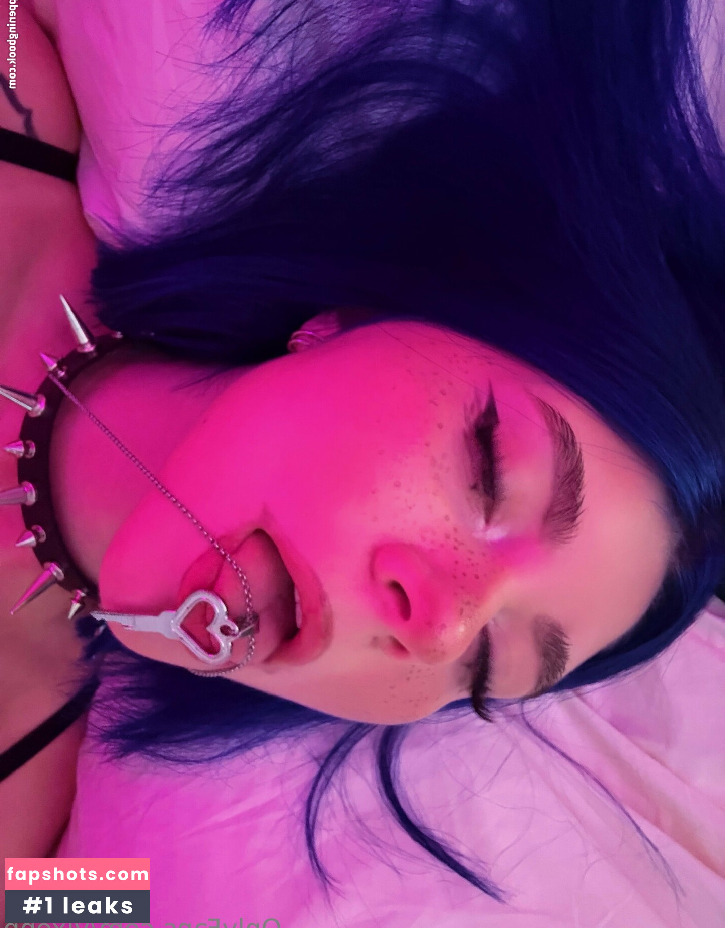 Vixenp gallery photo #2