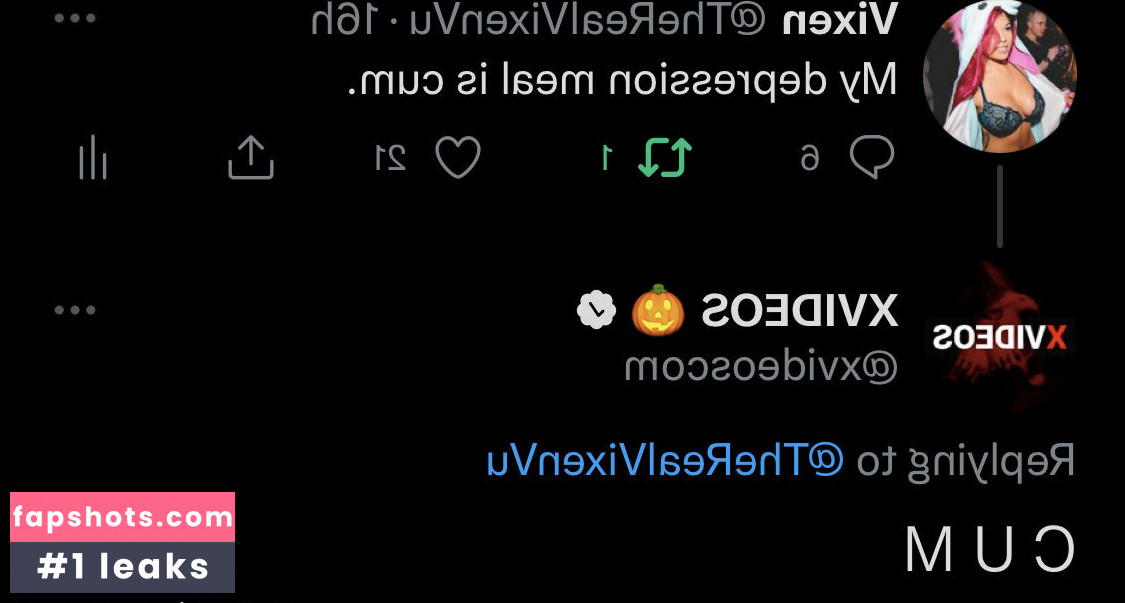 Vixenvu gallery photo #9