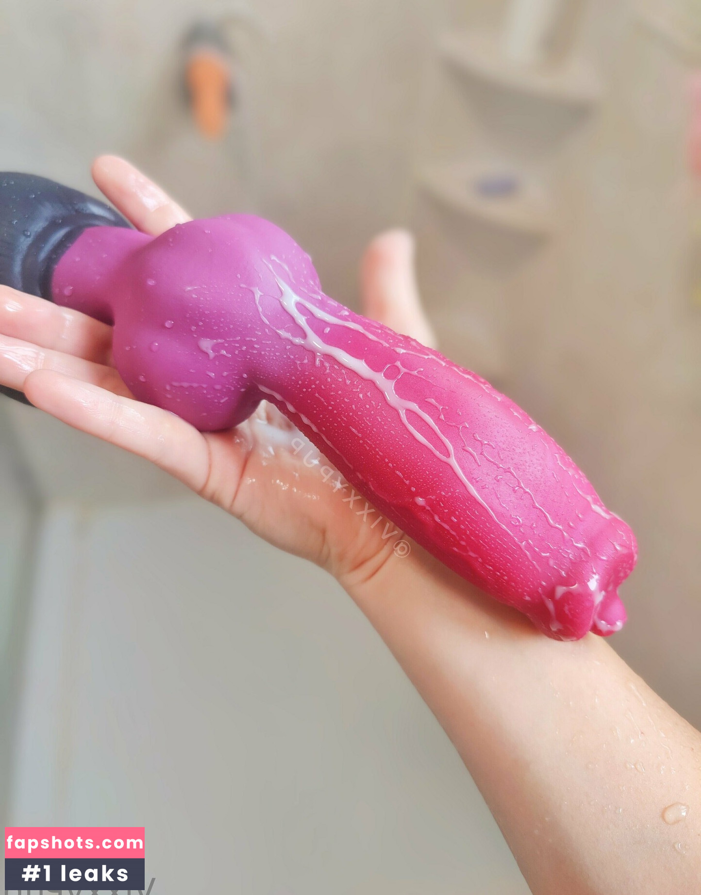 vixxypup gallery photo #10