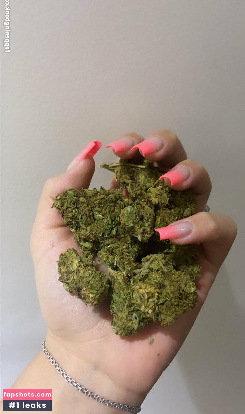 vtng.br2 gallery photo #11