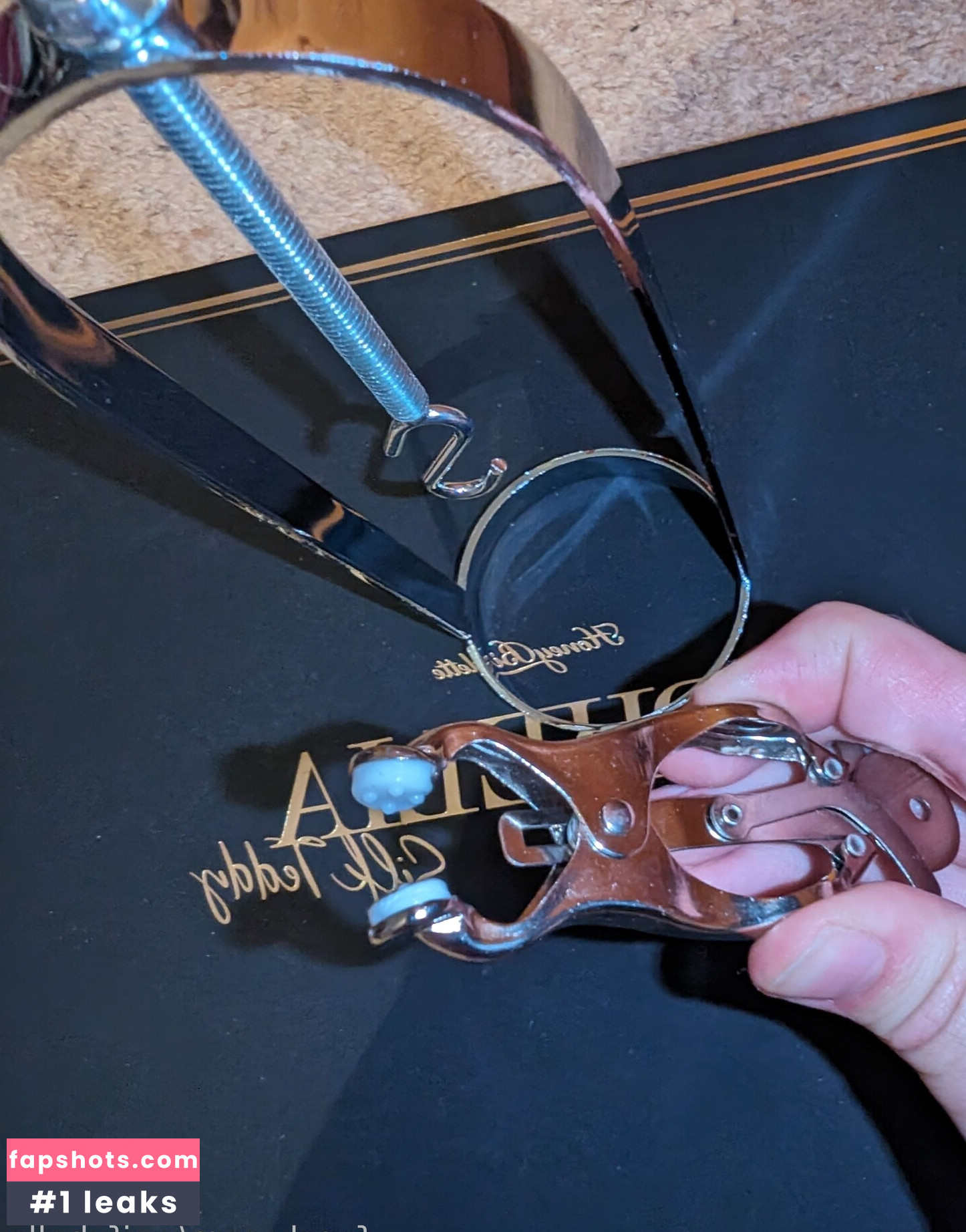 WaifuBella gallery photo #17