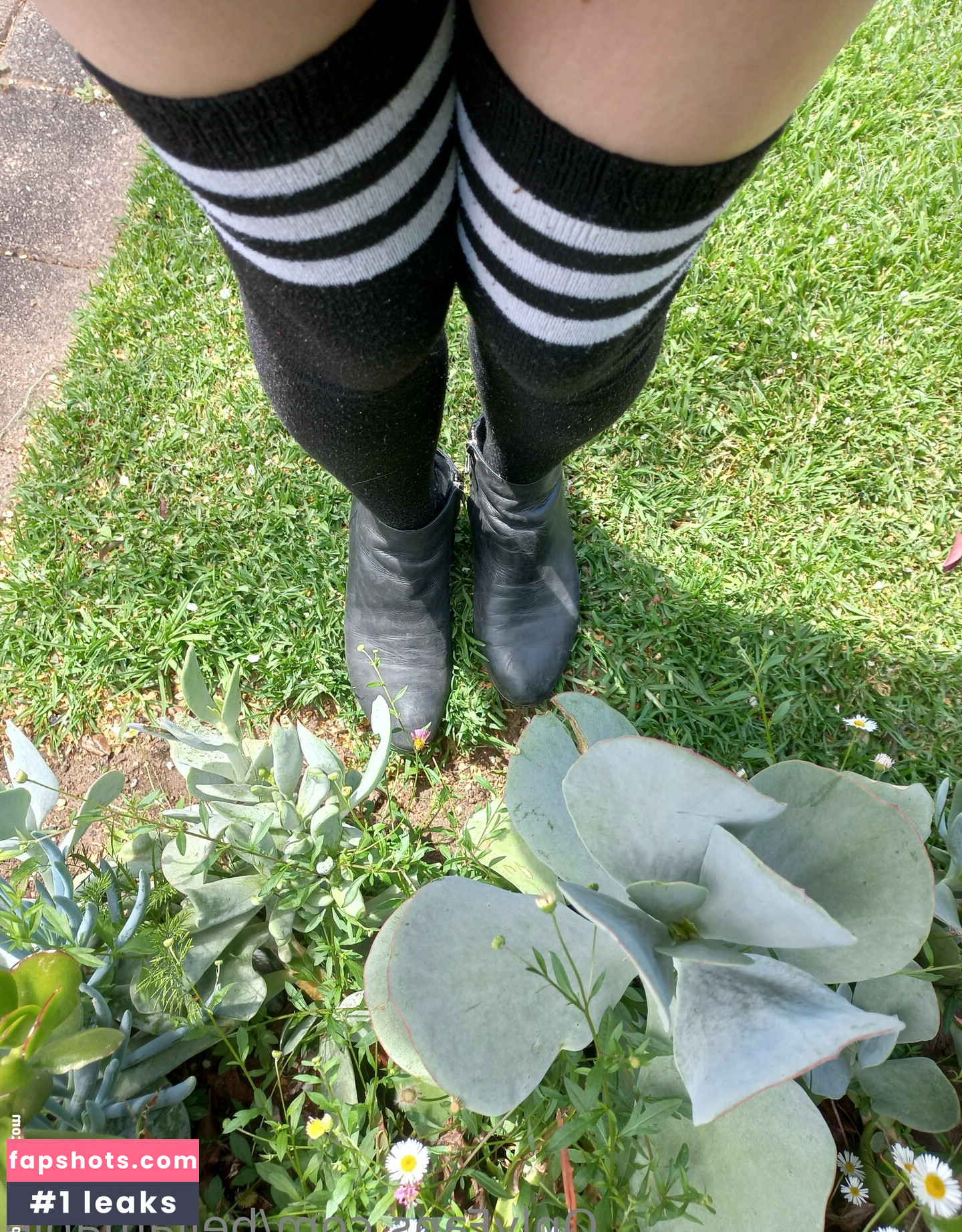 waifubellafree gallery photo #21