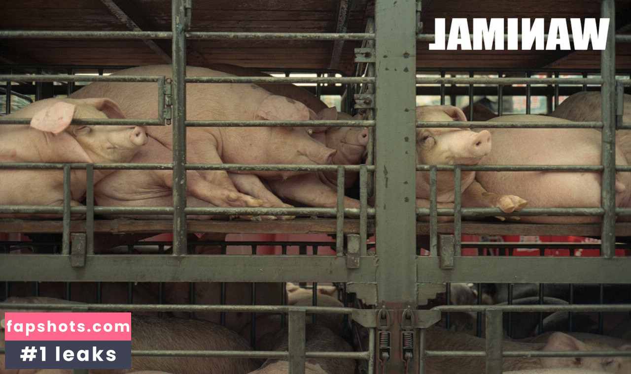 Wanimal Models gallery photo #13