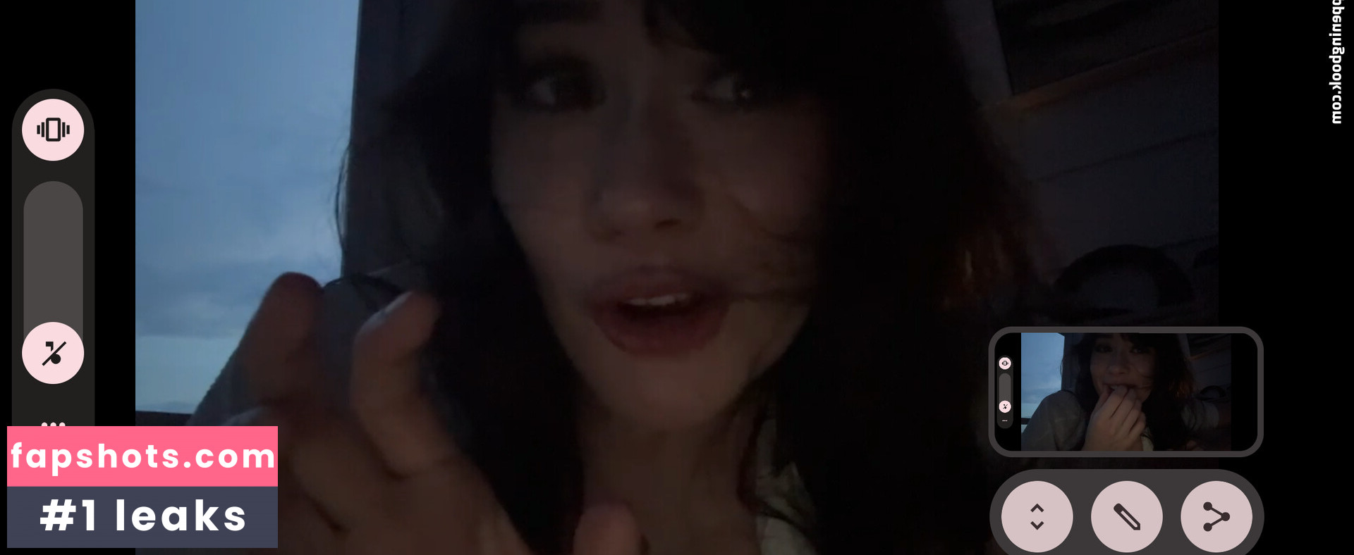 War Hampster gallery photo #2