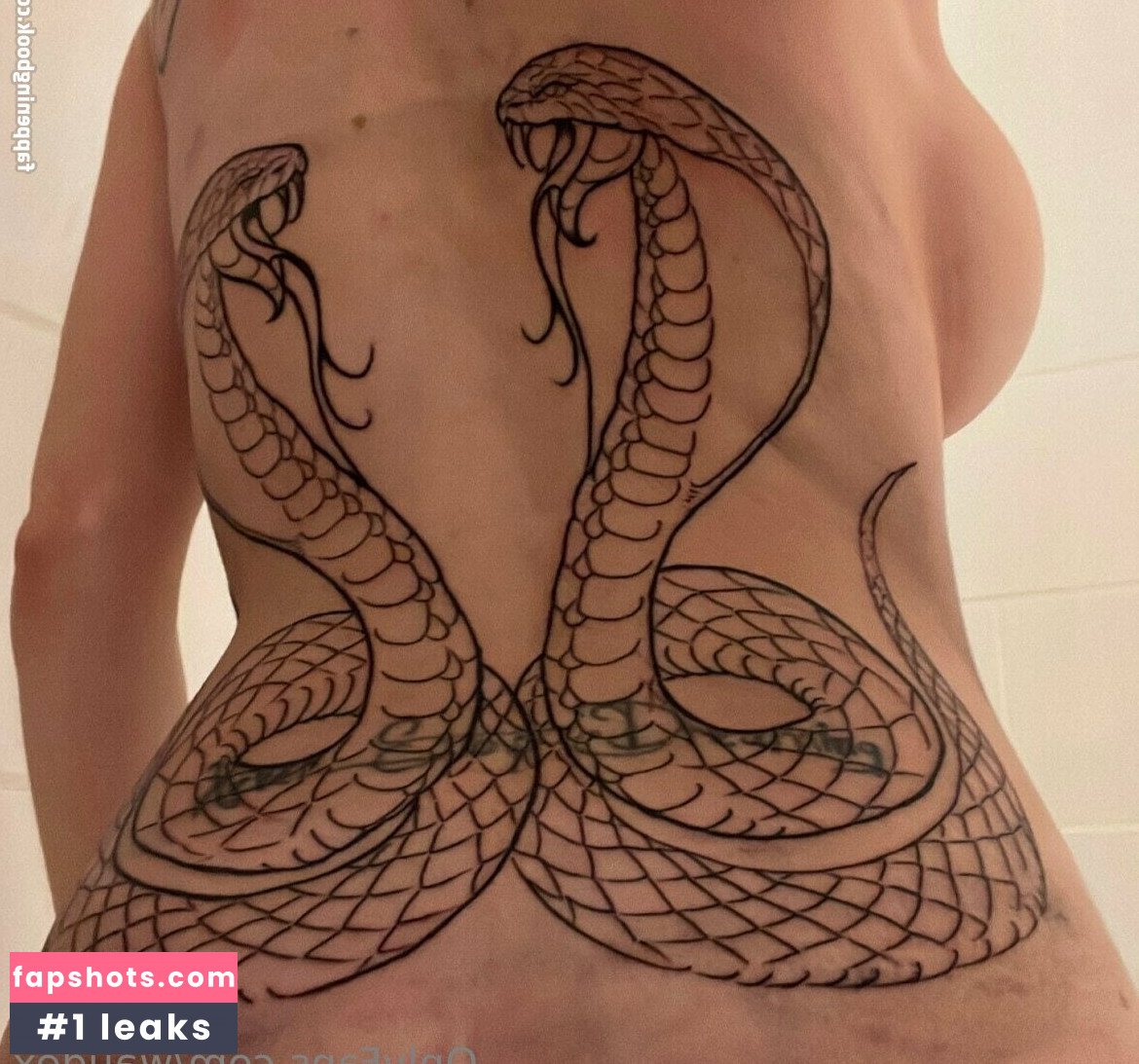 Waudex gallery photo #2