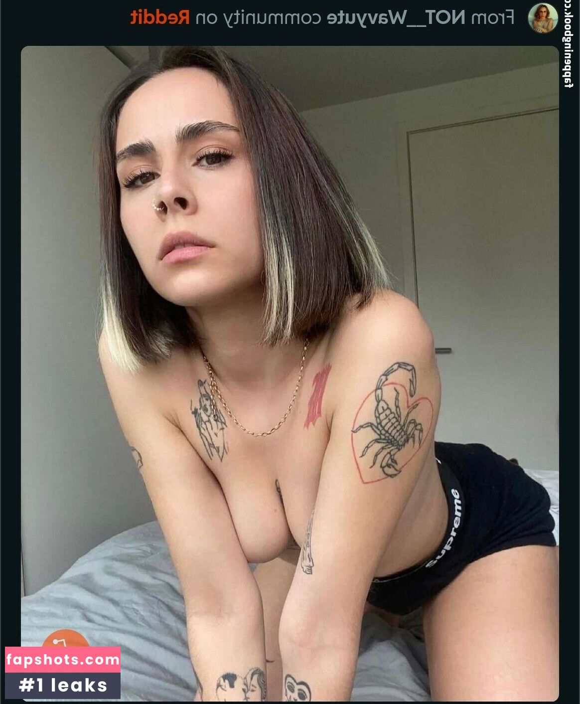 Wavyute gallery photo #14