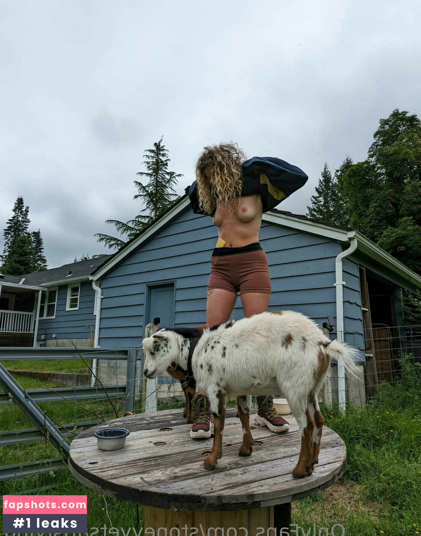 wearewildwinter gallery photo #64