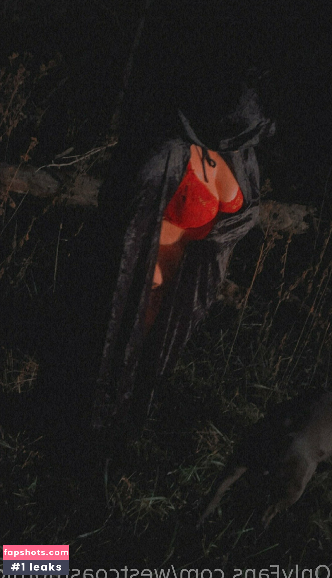 westcoastgothic gallery photo #3