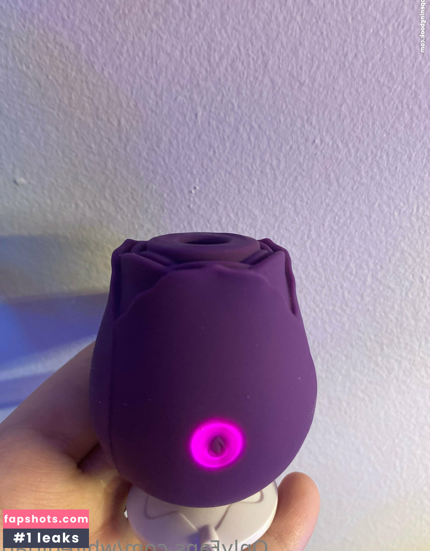 whitegirlab gallery photo #4