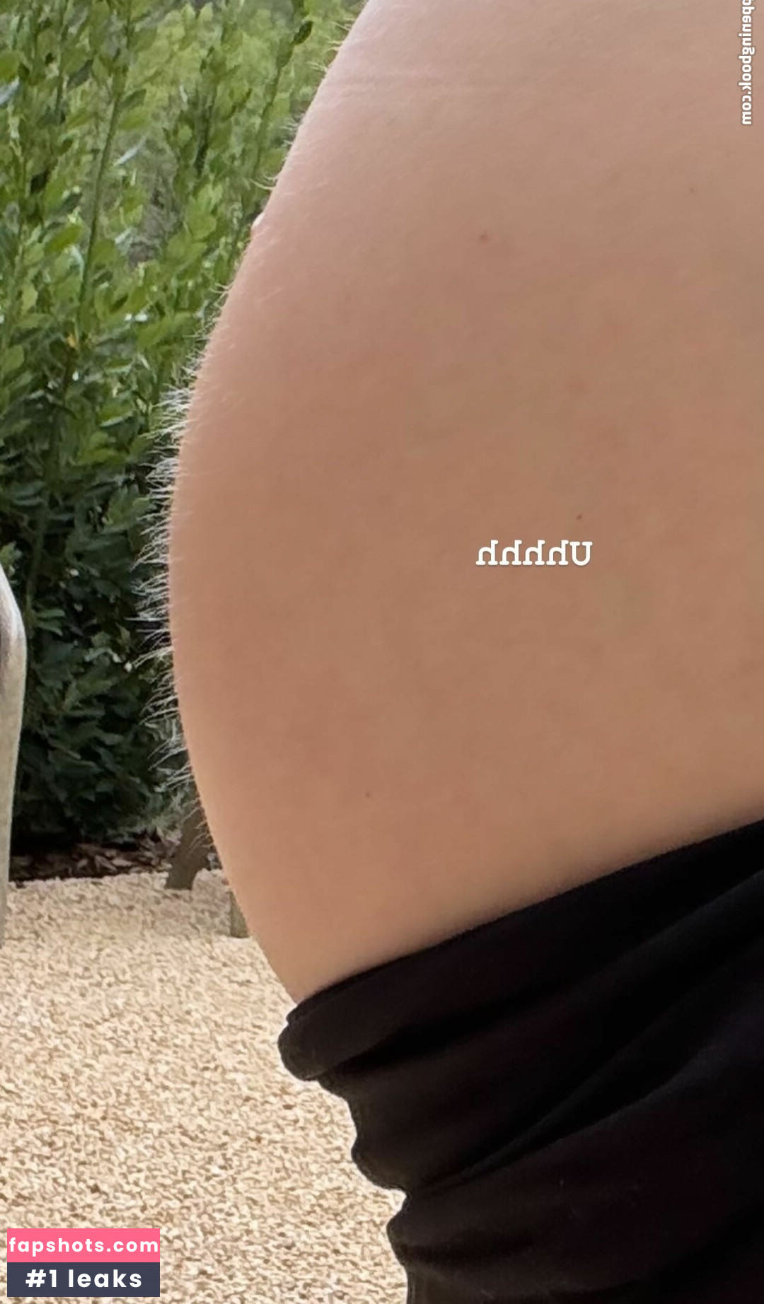 Whitney Cummings gallery photo #116