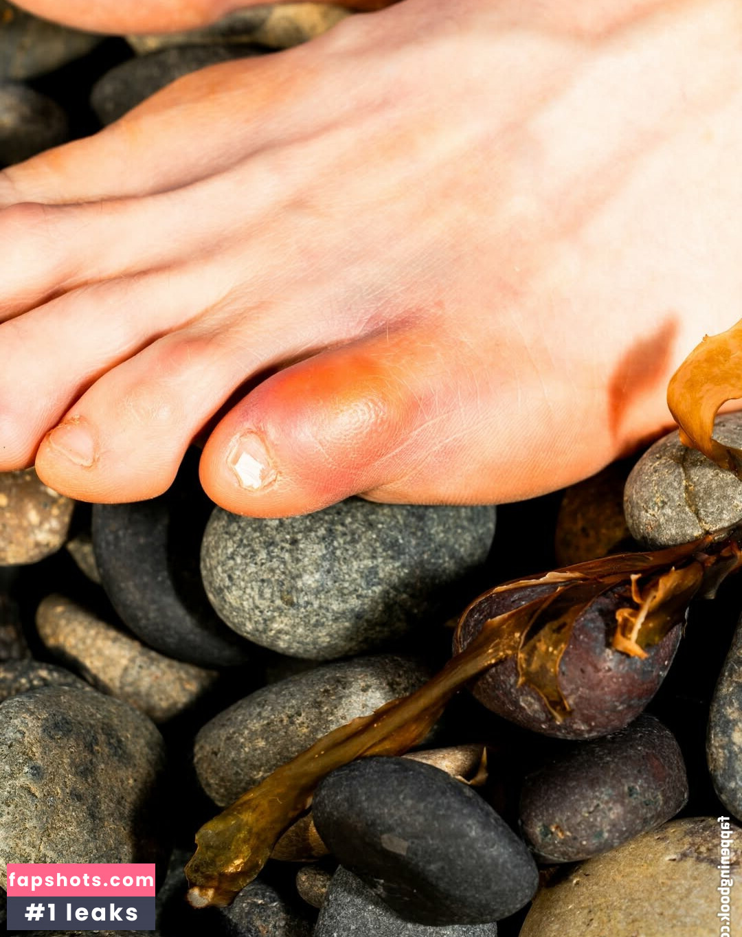 Whitney Cummings Nahé úniky fotek pouze od fanoušků #76 - Fapshots