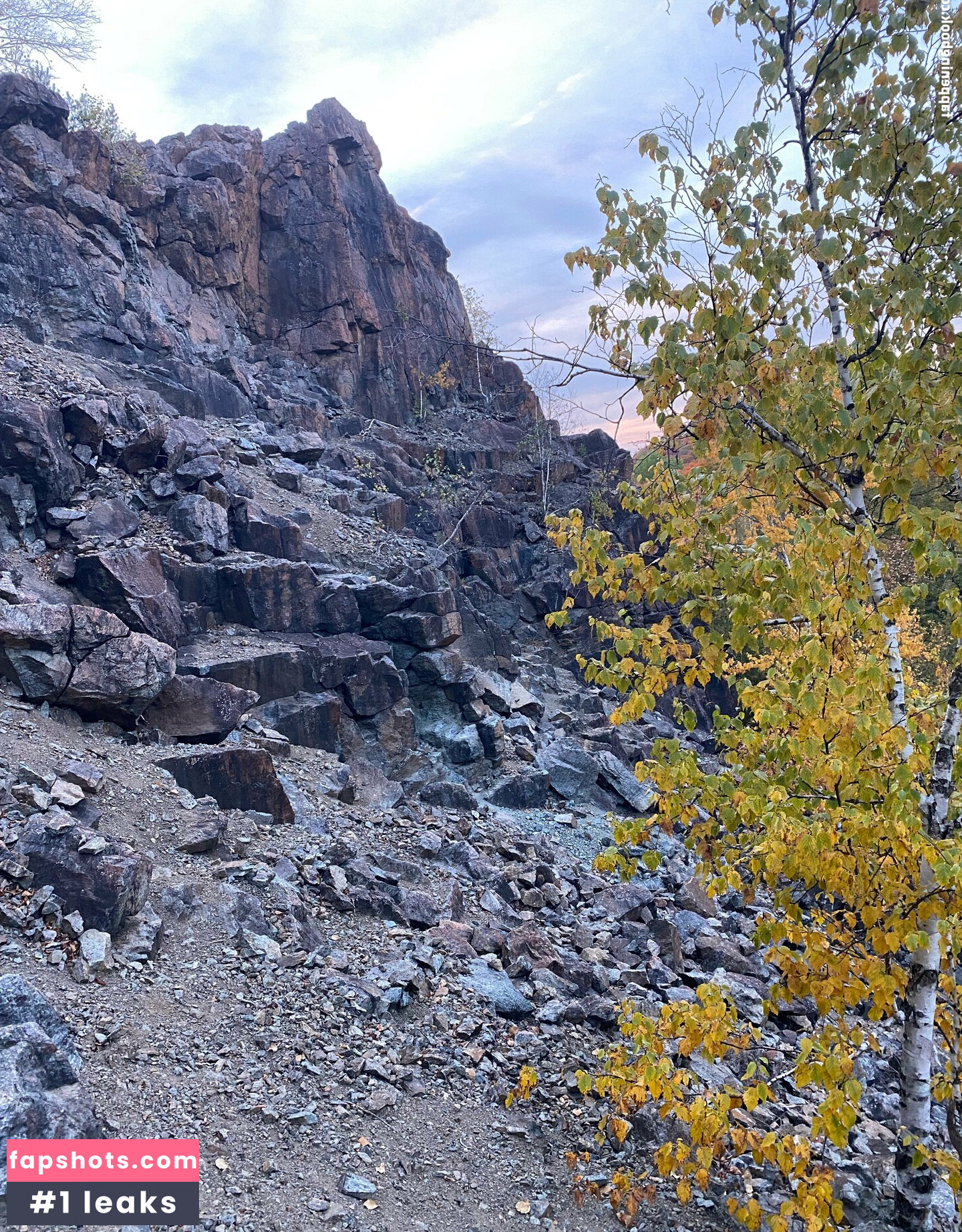 whoopsiidaisy gallery photo #30