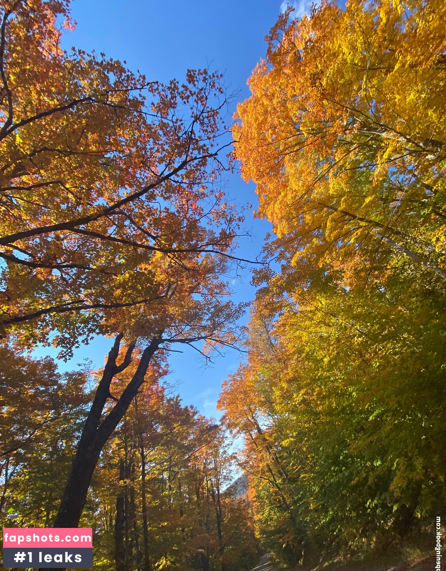 whoopsiidaisy gallery photo #8