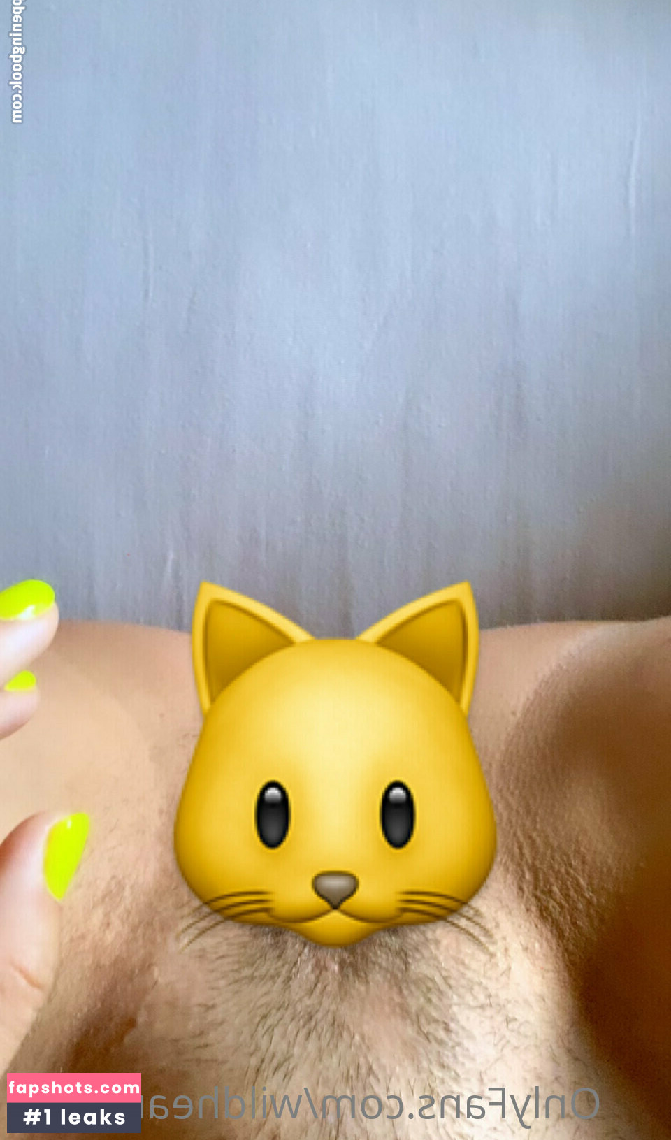 wildheart.holly Filtración Desnuda OnlyFans Foto #17 - Fapshots