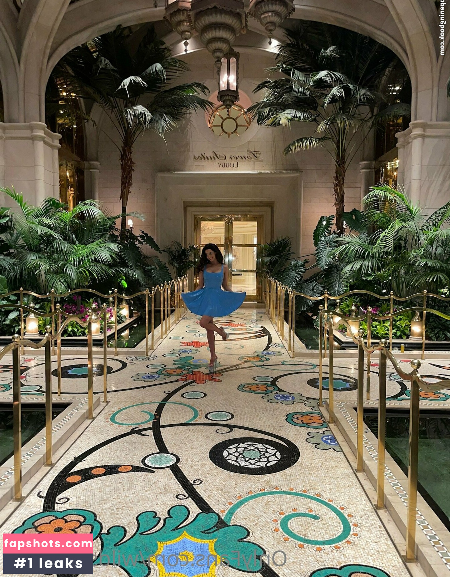 wildsydwilder gallery photo #3