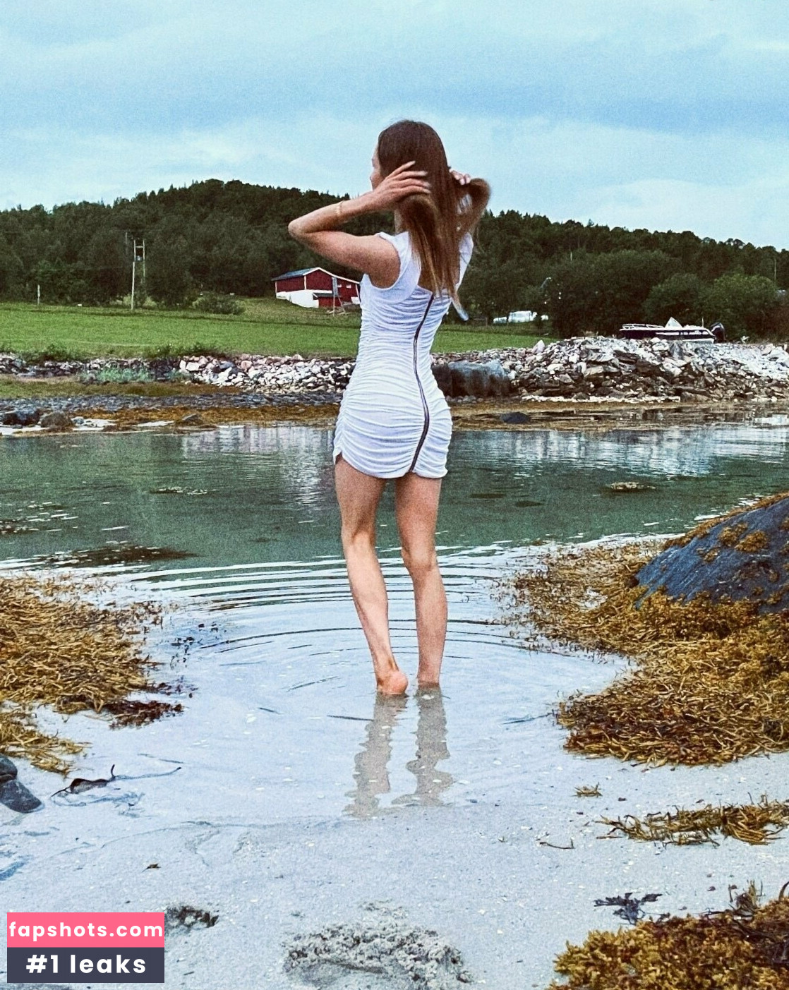 wilfjell gallery photo #4