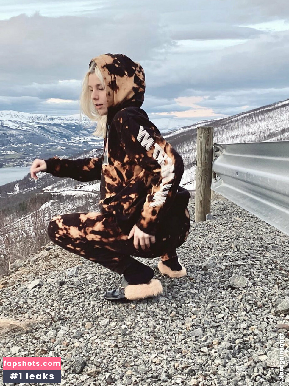 wilfjell gallery photo #5