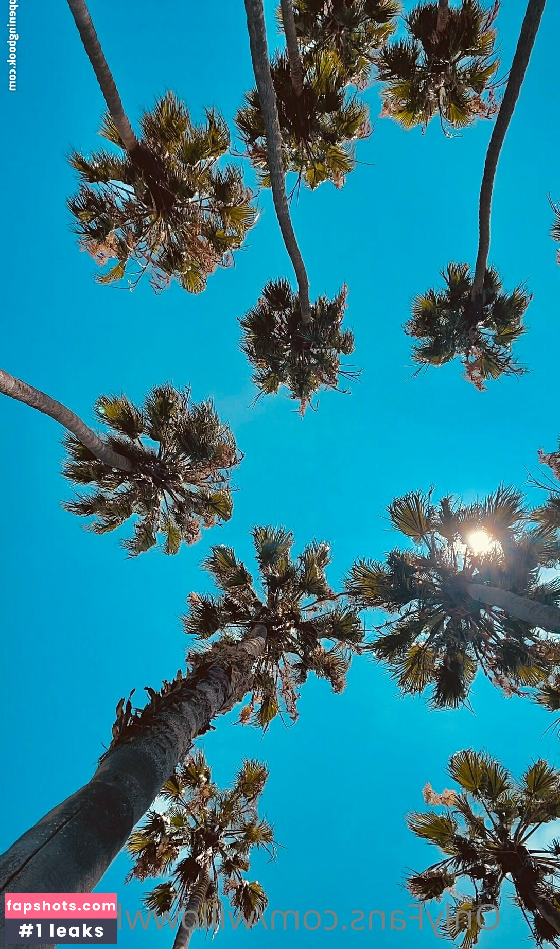 willowwhispers gallery photo #54