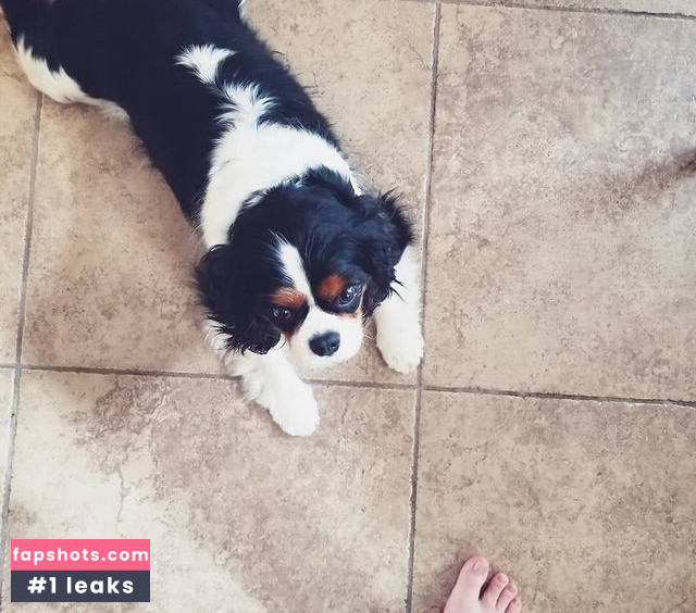 Windham Ryce gallery photo #4