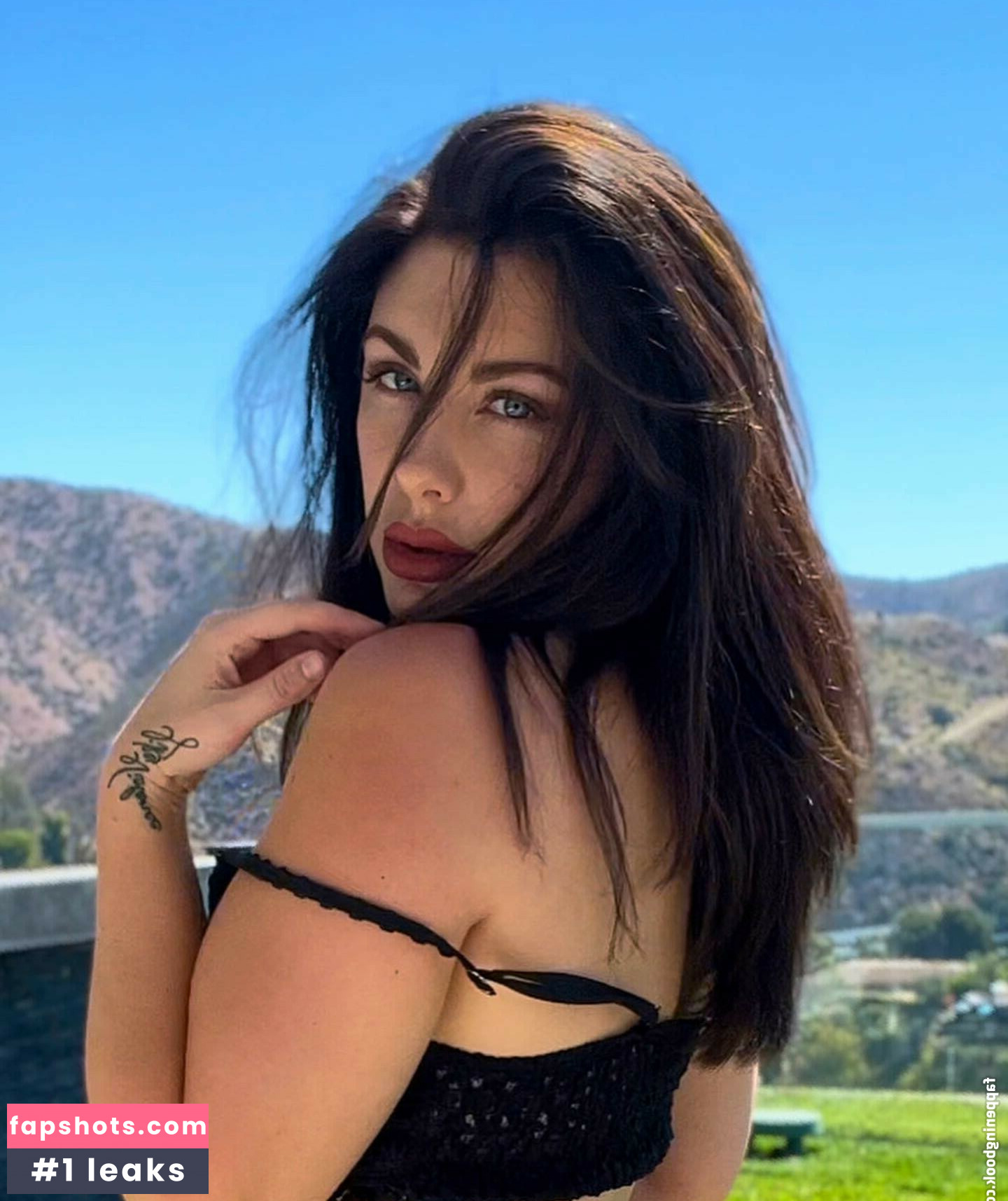 Wineoperator gallery photo #151